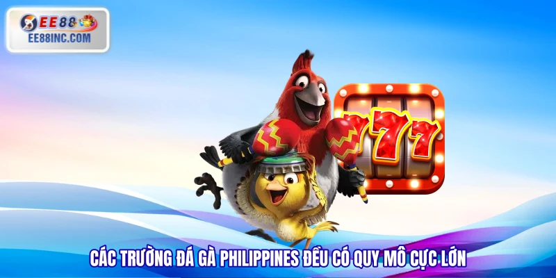 Các trường đá gà Philippines đều có quy mô cực lớn