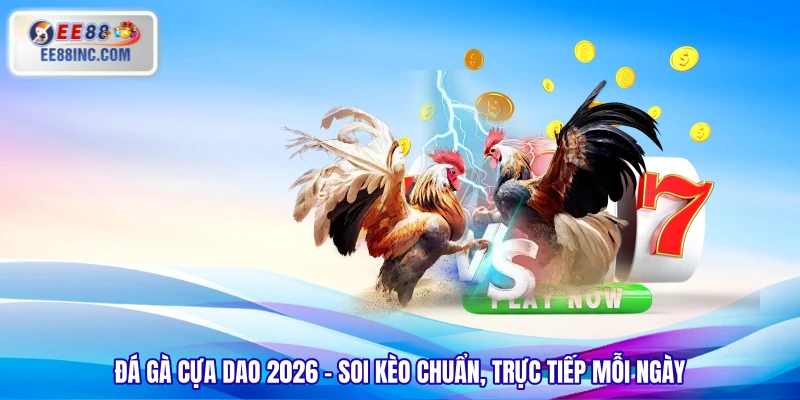 Đá Gà Cựa Dao 2026 - Soi Kèo Chuẩn, Trực Tiếp Mỗi Ngày