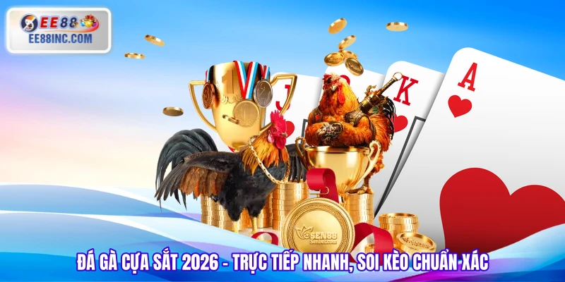 Đá Gà Cựa Sắt 2026 - Trực Tiếp Nhanh, Soi Kèo Chuẩn Xác
