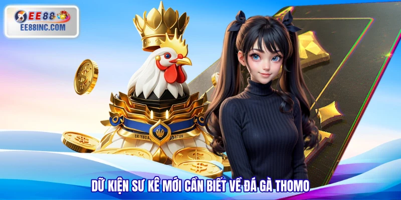 Dữ kiện sư kê mới cần biết về đá gà Thomo