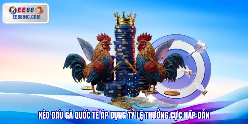Kèo đấu gà quốc tế áp dụng tỷ lệ thưởng cực hấp dẫn