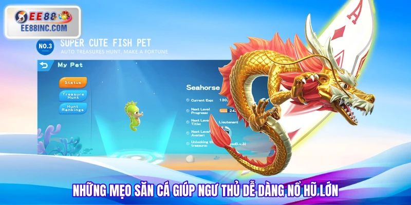 Những mẹo săn cá giúp ngư thủ dễ dàng nổ hũ lớn Những mẹo săn cá giúp ngư thủ dễ dàng nổ hũ lớn