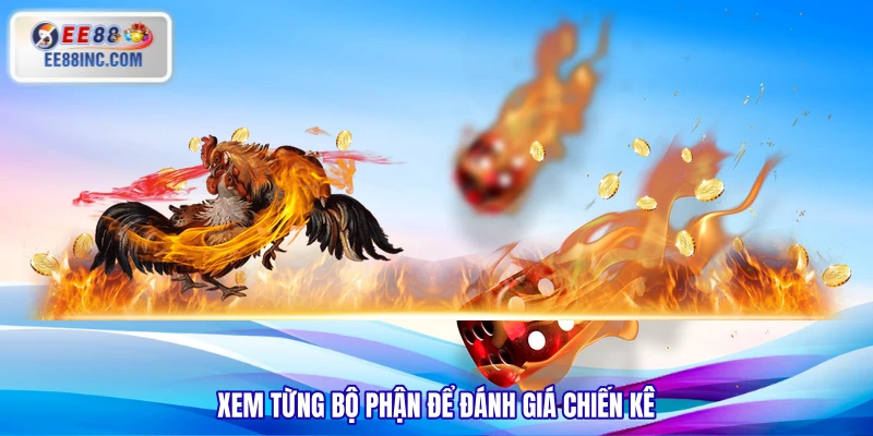Xem từng bộ phận để đánh giá chiến kê Xem từng bộ phận để đánh giá chiến kê